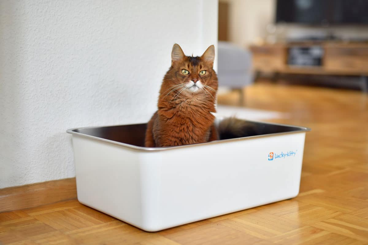 Lettiera In Acciaio Inox Per Gatti E Conigli - 45x35x15 Cm, Antiodore, Facile Da Pulire - Foto 2